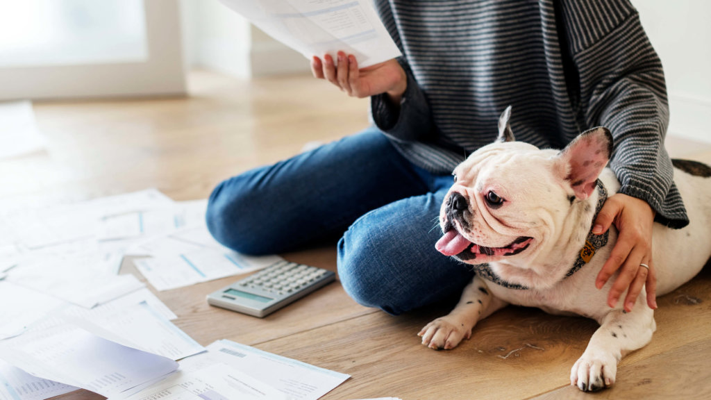 Young Female Looking Paperwork Tax Next To Her Dog