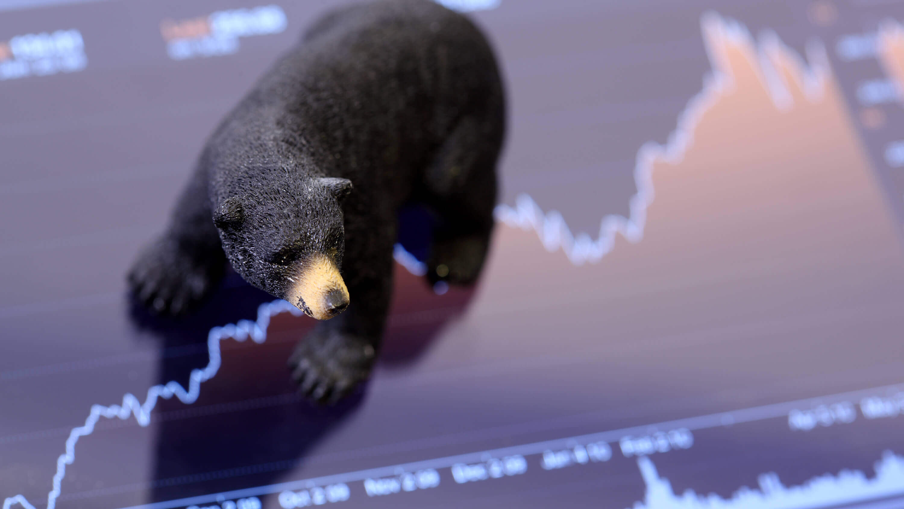 Тренд медведь. Медведь рынок. Биржевой медведь. Медведь биржа. Медведь фондовый рынок.